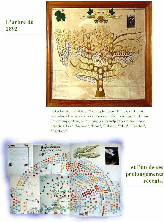 L'arbre généalogique de 1892 et l'un de ses prolongements récents.